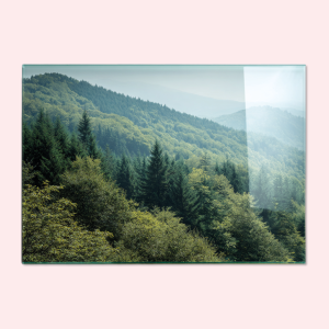Foto op plexiglas