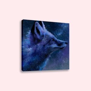 Plexiglas – Vos galaxy